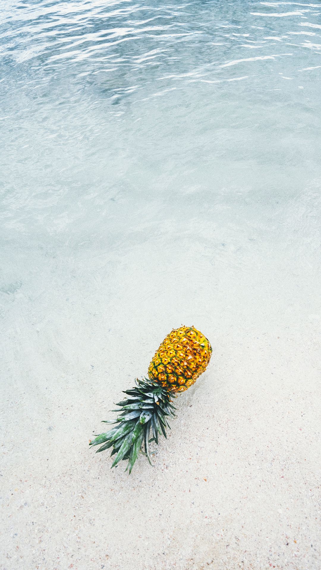Ananas su spiaggia con acqua, 1080x1920 Verticale, Mobile