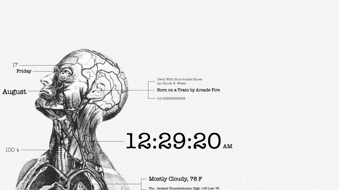 Anatomia testa e torace illustrata, 1366x768 HD, Desktop