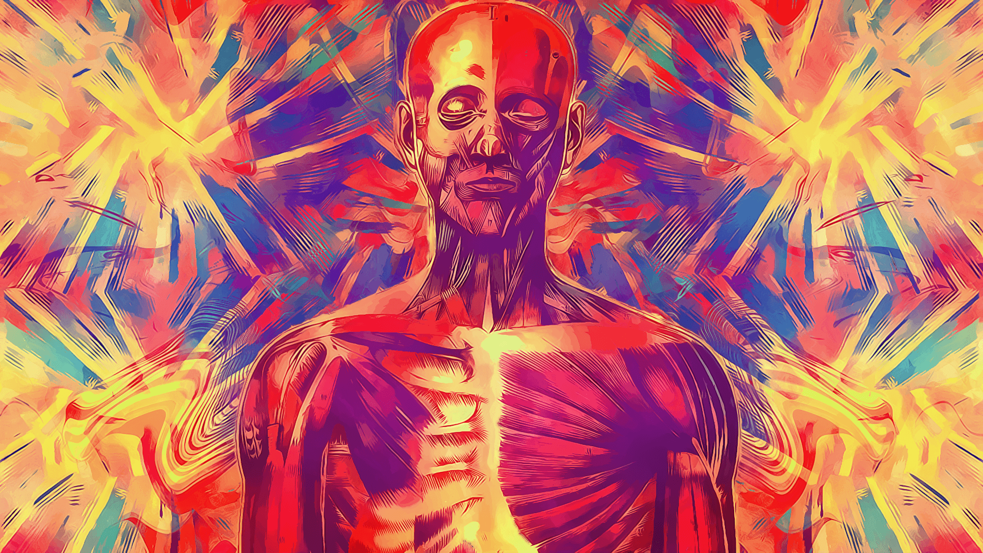 Anatomia umana muscoli colorati, 2000x1125 Hi-Res, Desktop