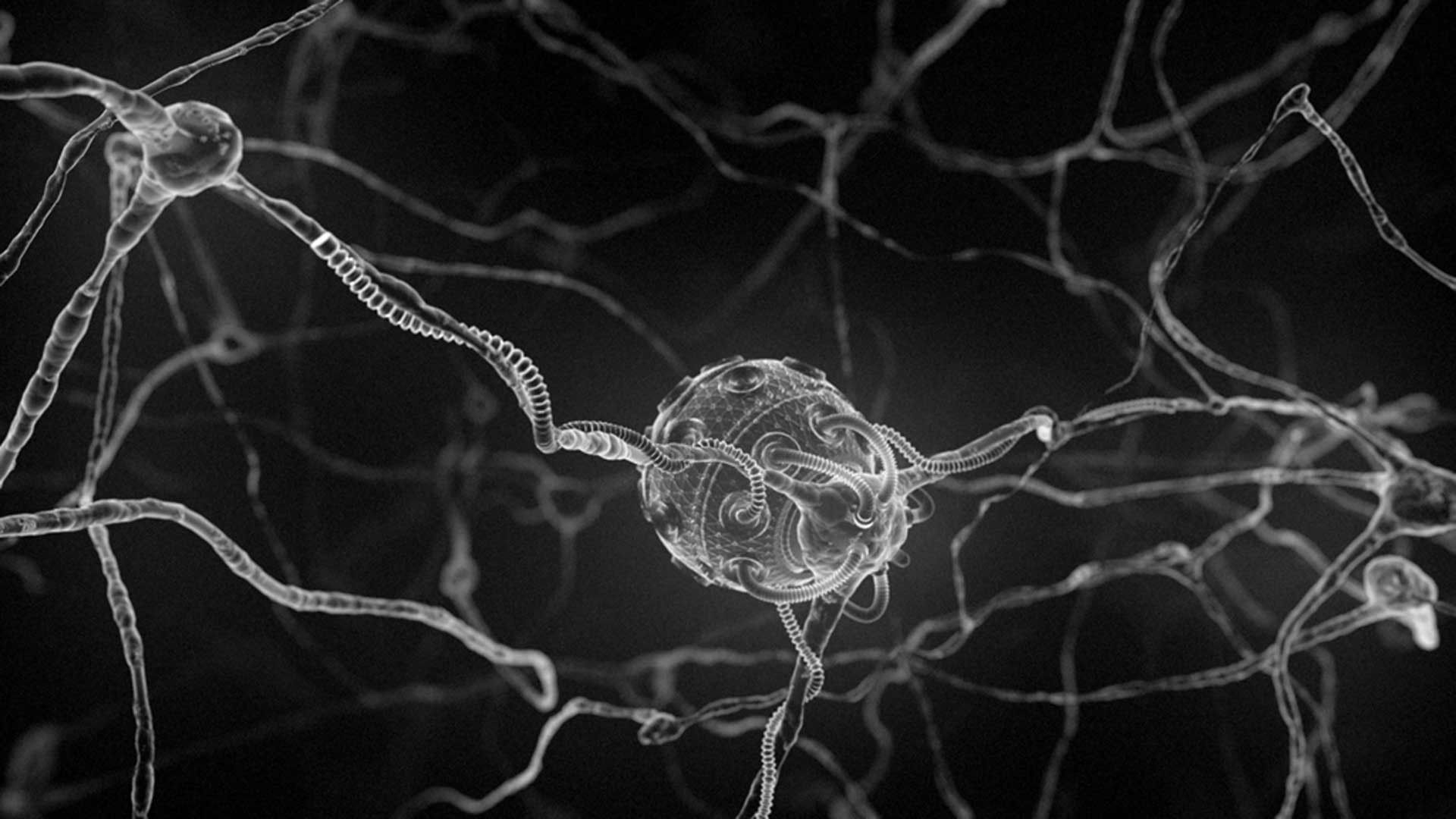 Rete di neuroni in bianco e nero, 1920x1080 Full HD, Laptop