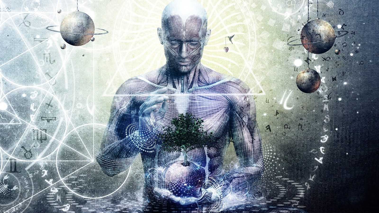 Uomo anatomico con albero e pianeti, 1600x900 900p, iMac
