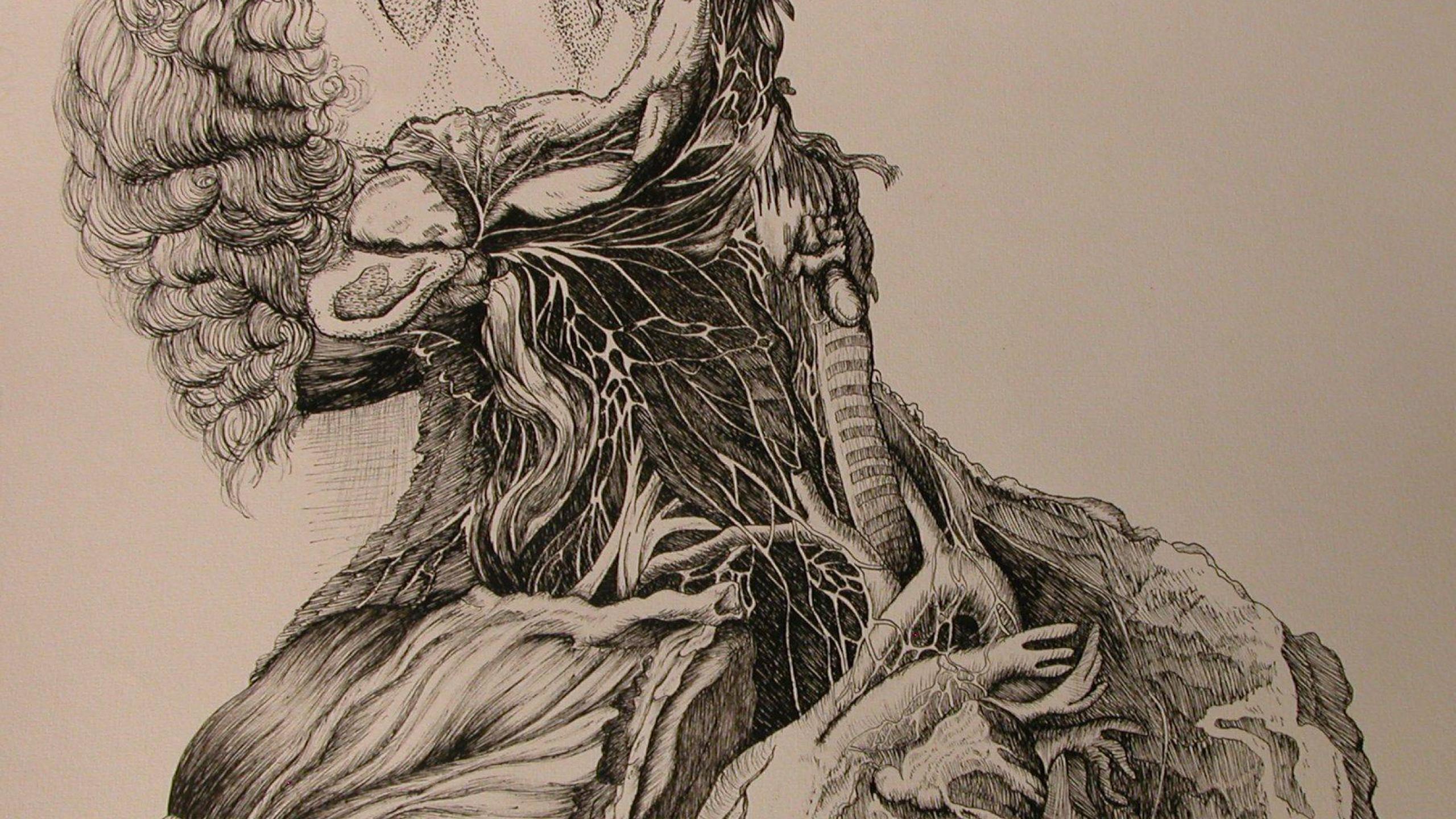 disegno anatomico inchiostro figura mostruosa, 2560x1440 QHD, Laptop