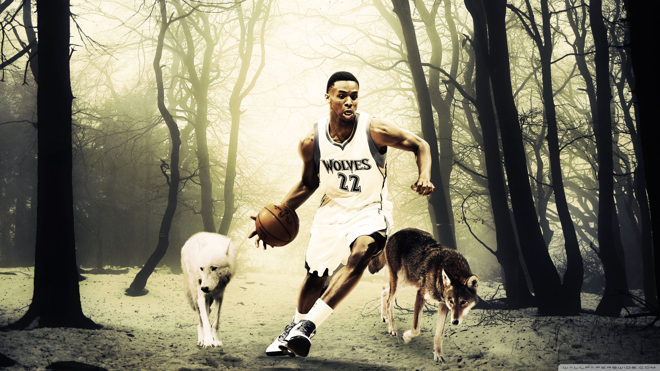Giocatore basket Timberwolves lupi foresta, 2560x1440 1440p, Desktop