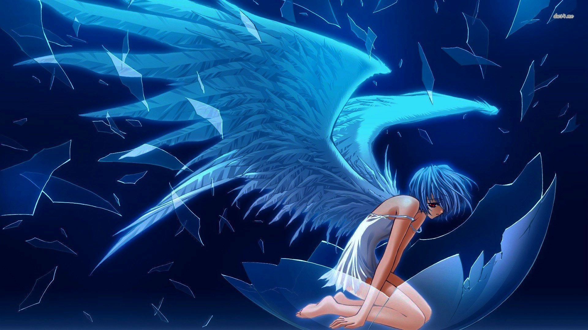 Angelo anime ali blu, 1920x1080 Full HD 1080p, Desktop