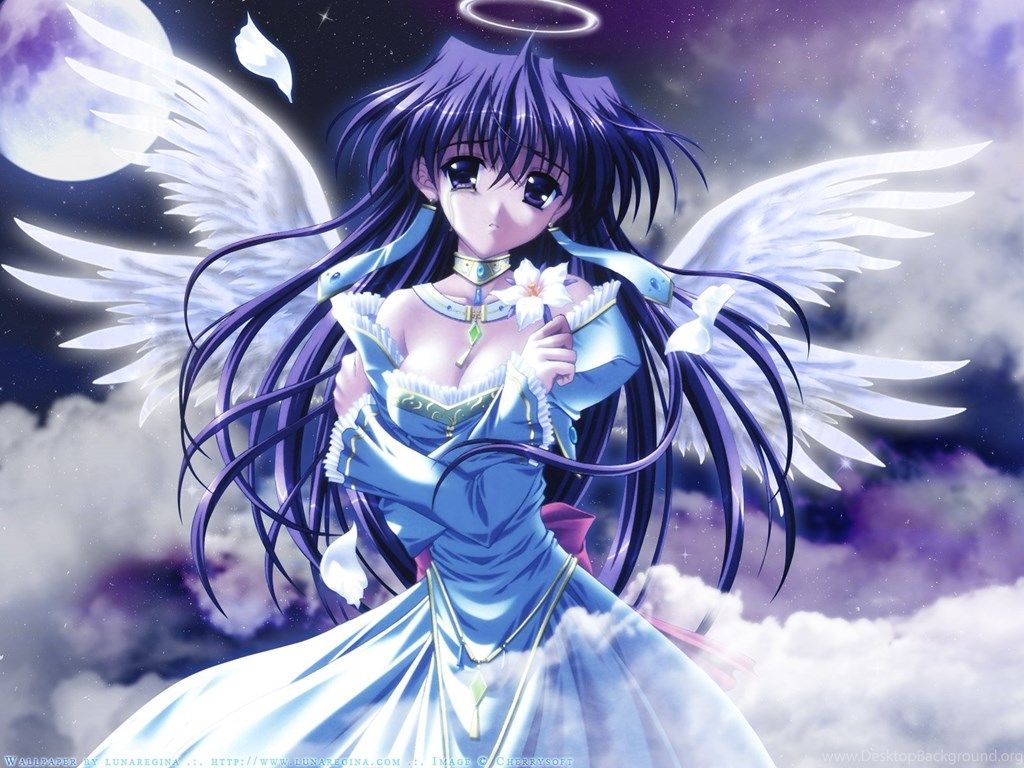 Angelo anime capelli blu, 1024x768 HD, Desktop