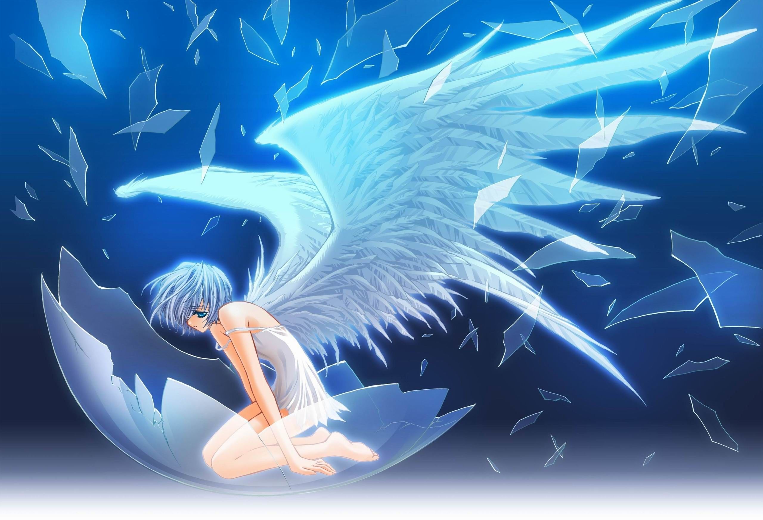 Angelo anime ali blu, 2560x1747 2K, PC