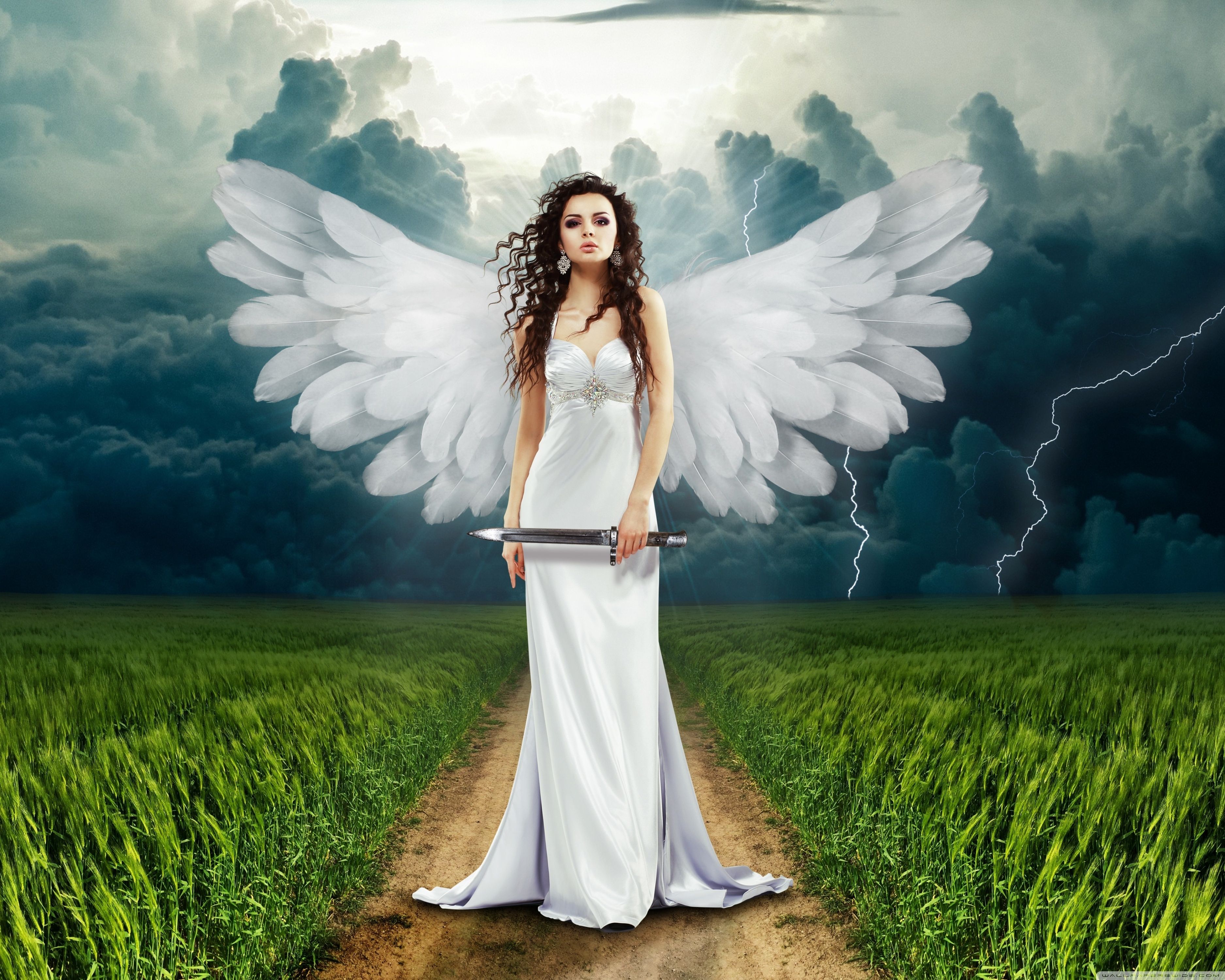 Serra Angel Magic the Gathering, 1177x883 HD, PC