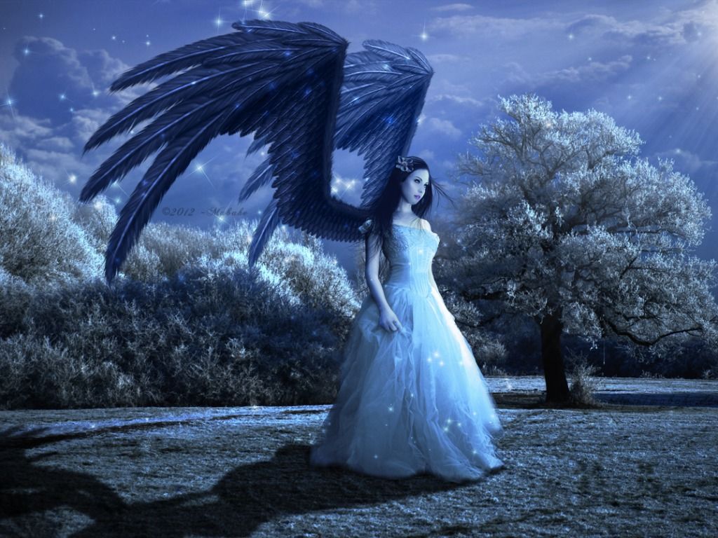 angelo oscuro ali nere abito bianco, 1024x768 HD, PC