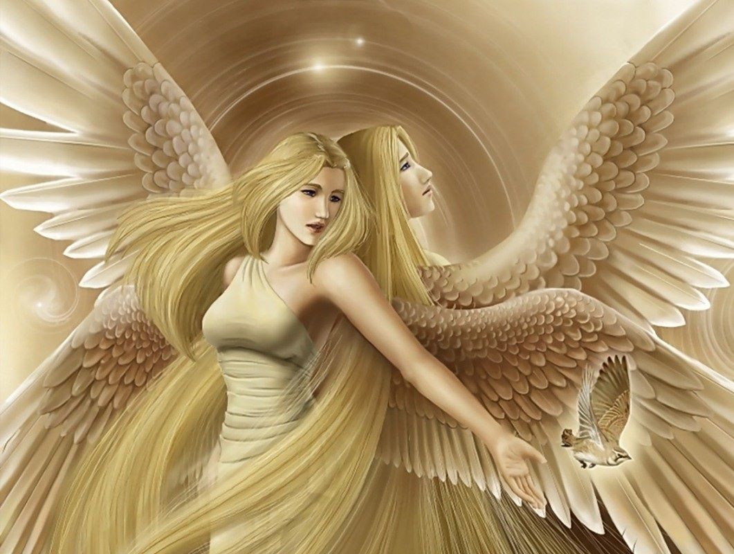 League of Angels, angelo guerriero alato, 1242x2688 Full HD Verticale, Smartphone