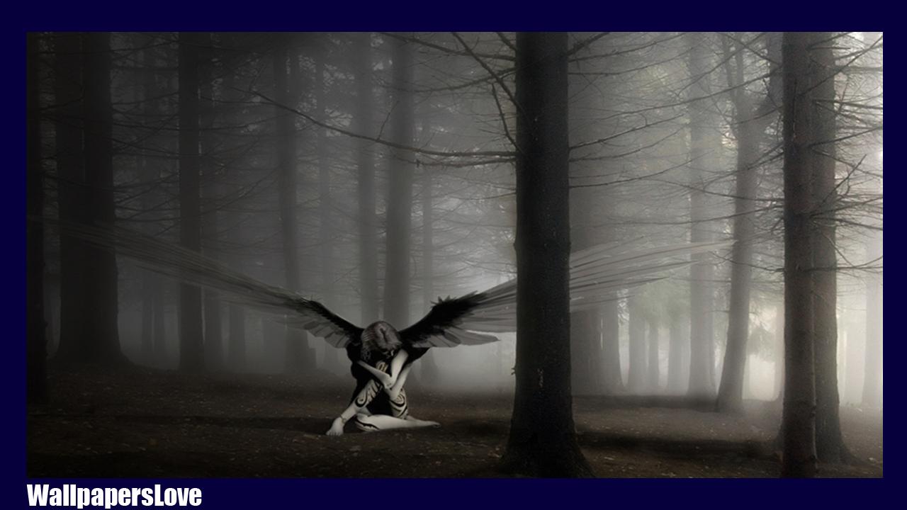 Angelo Caduto, 1920x1080 Full HD 1080p, Laptop