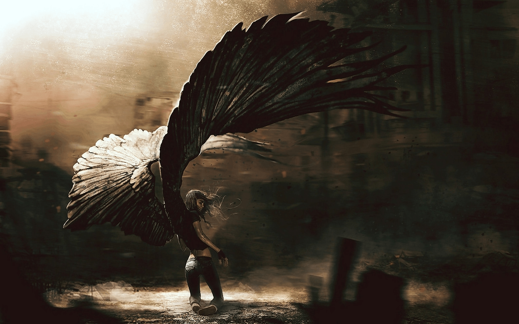 Angelo caduto ali scure, 1680x1050 HD Ready, Notebook Gaming