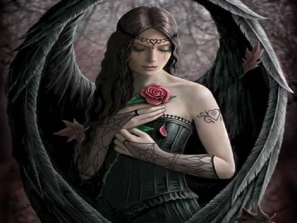 Angelo gotico con rosa rossa, 1024x768 HD, Desktop