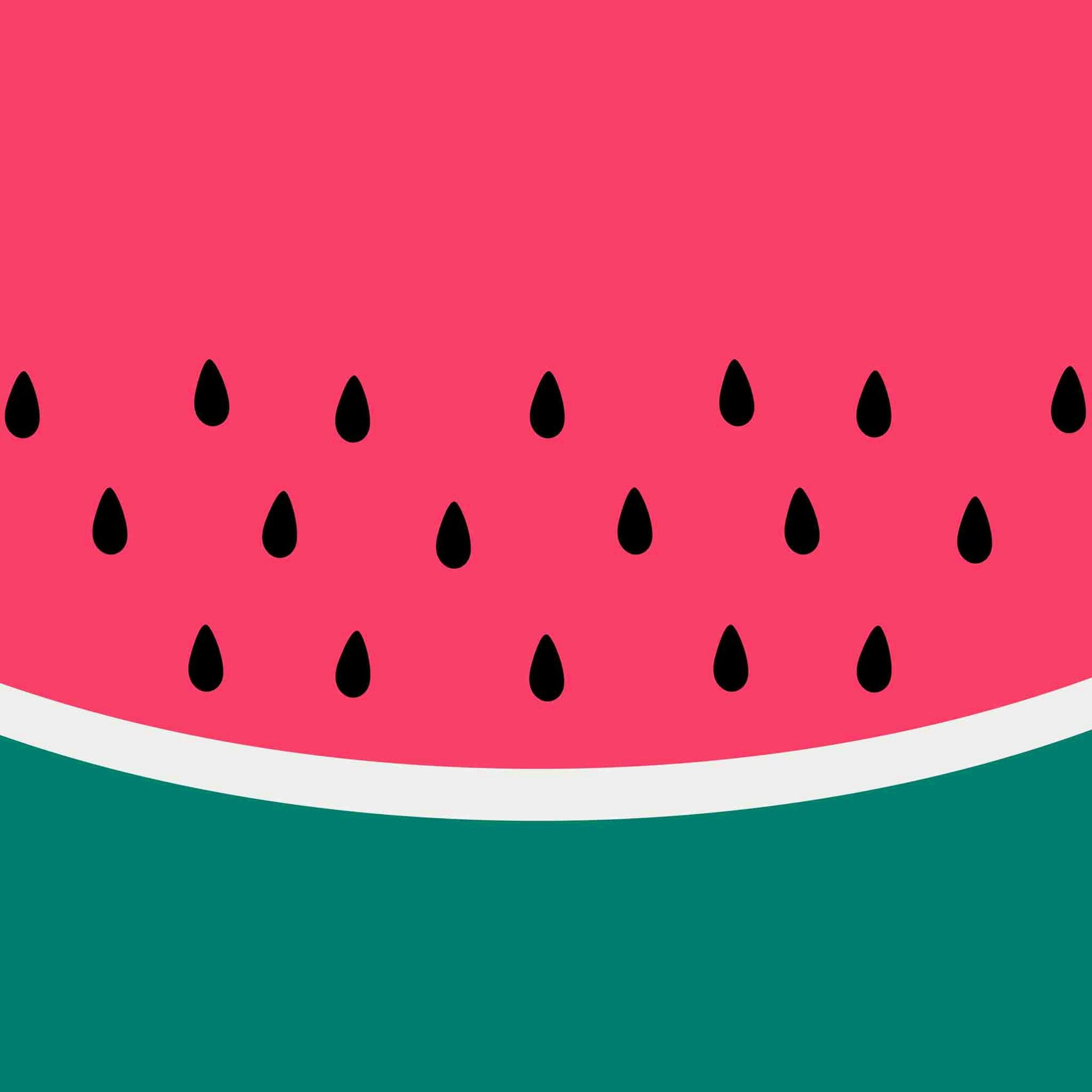 Anguria stilizzata rosa e verde, 2560x2560 2K+, Laptop