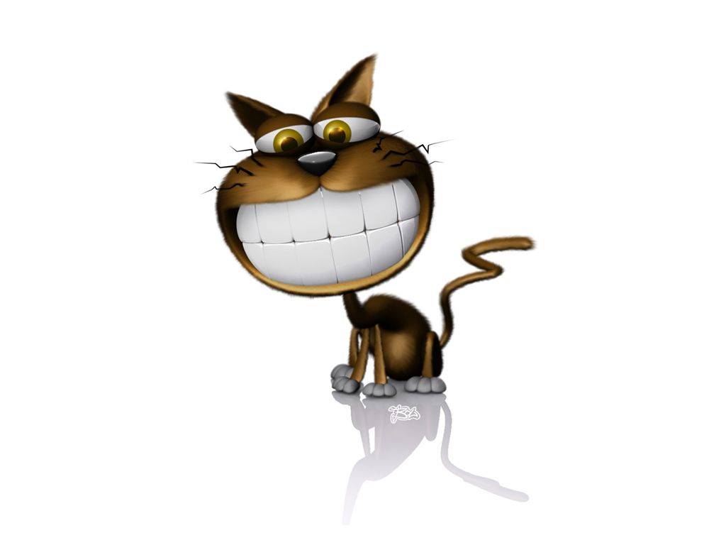 con Animali in Stile Cartoon, 1000x1000 HD, Desktop