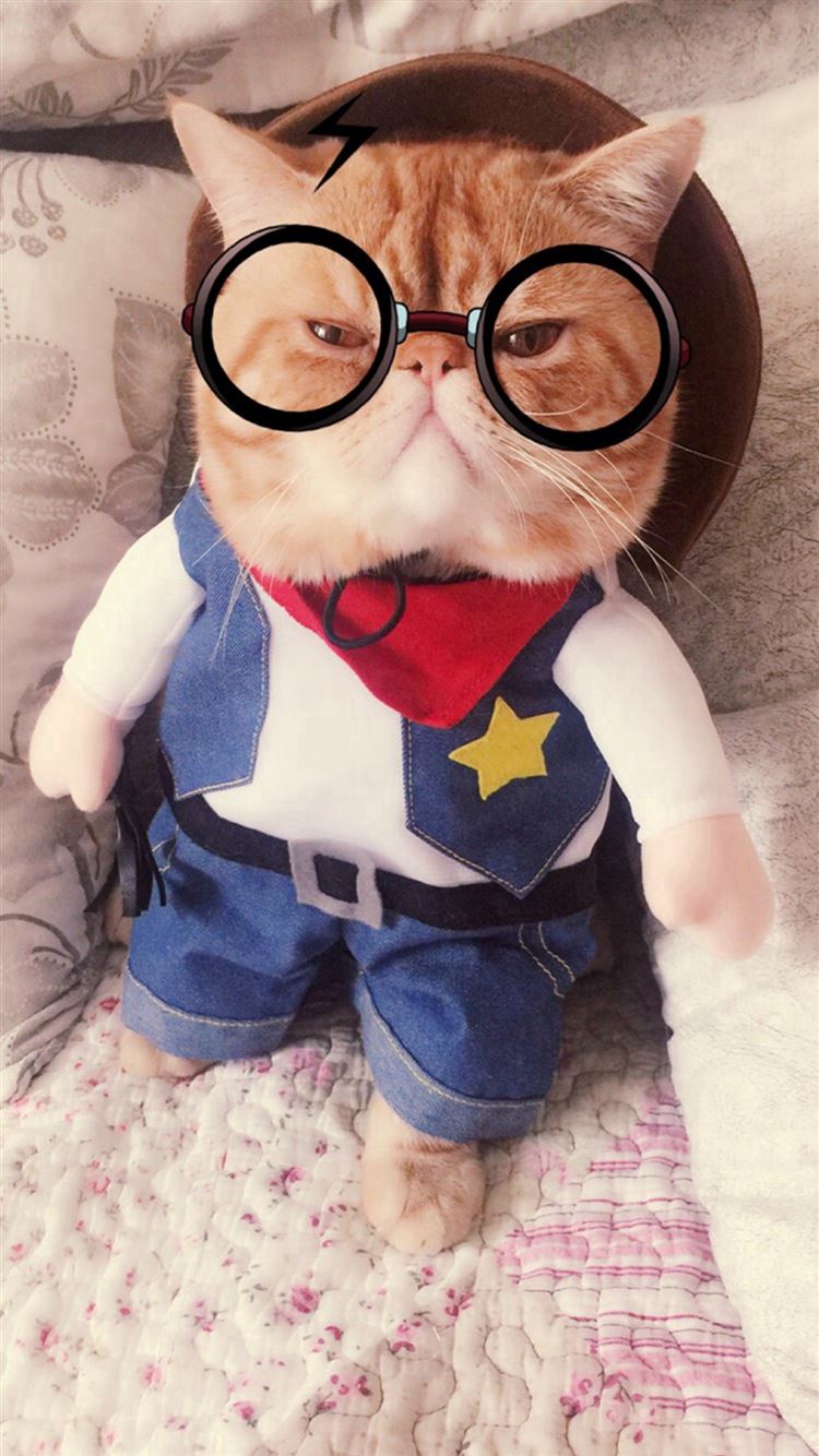 Gatto vestito da sceriffo, 750x1334 Full HD Verticale, iPhone