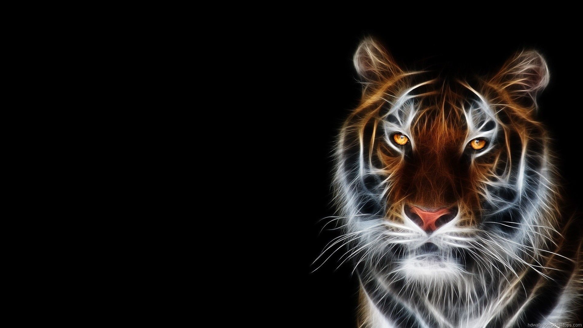 Tigre luminosa su sfondo nero, 1920x1080 Full HD 1080p, PC