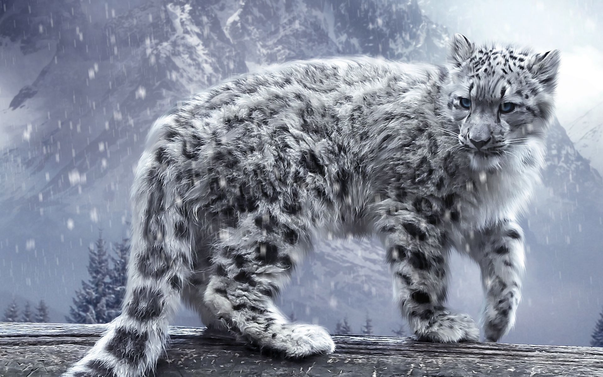 Leopardo delle nevi nella neve, 1920x1200 Full HD+, PC