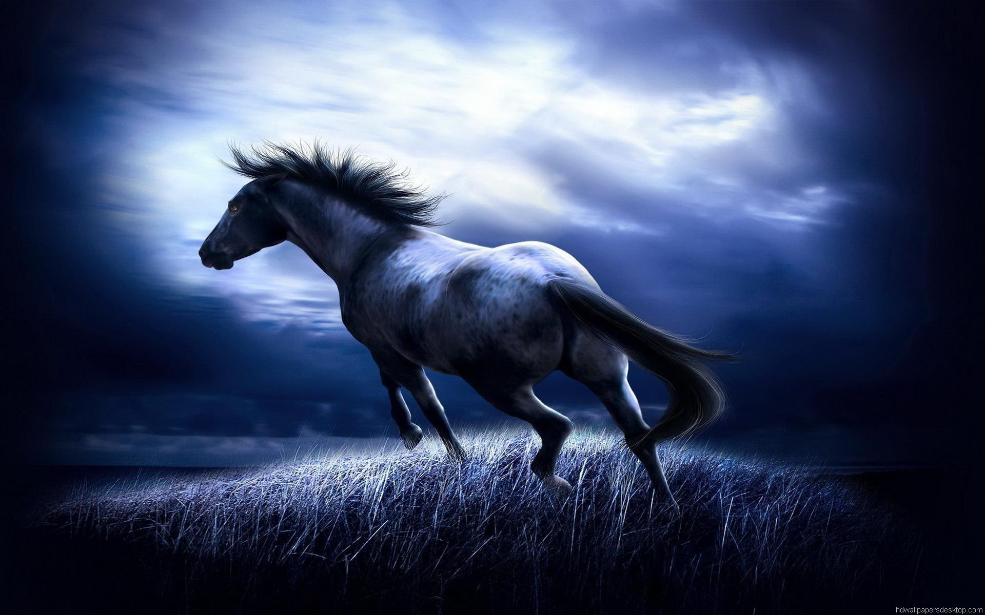 Cavallo nero al galoppo notturno, 1920x1200 Full HD+ WUXGA, PC Desktop