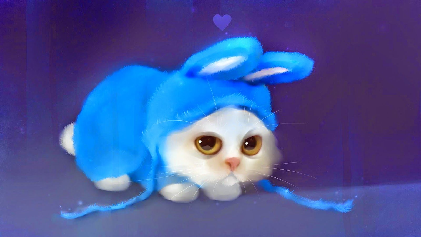Gattino con costume coniglio blu, 1600x900 900p, Desktop