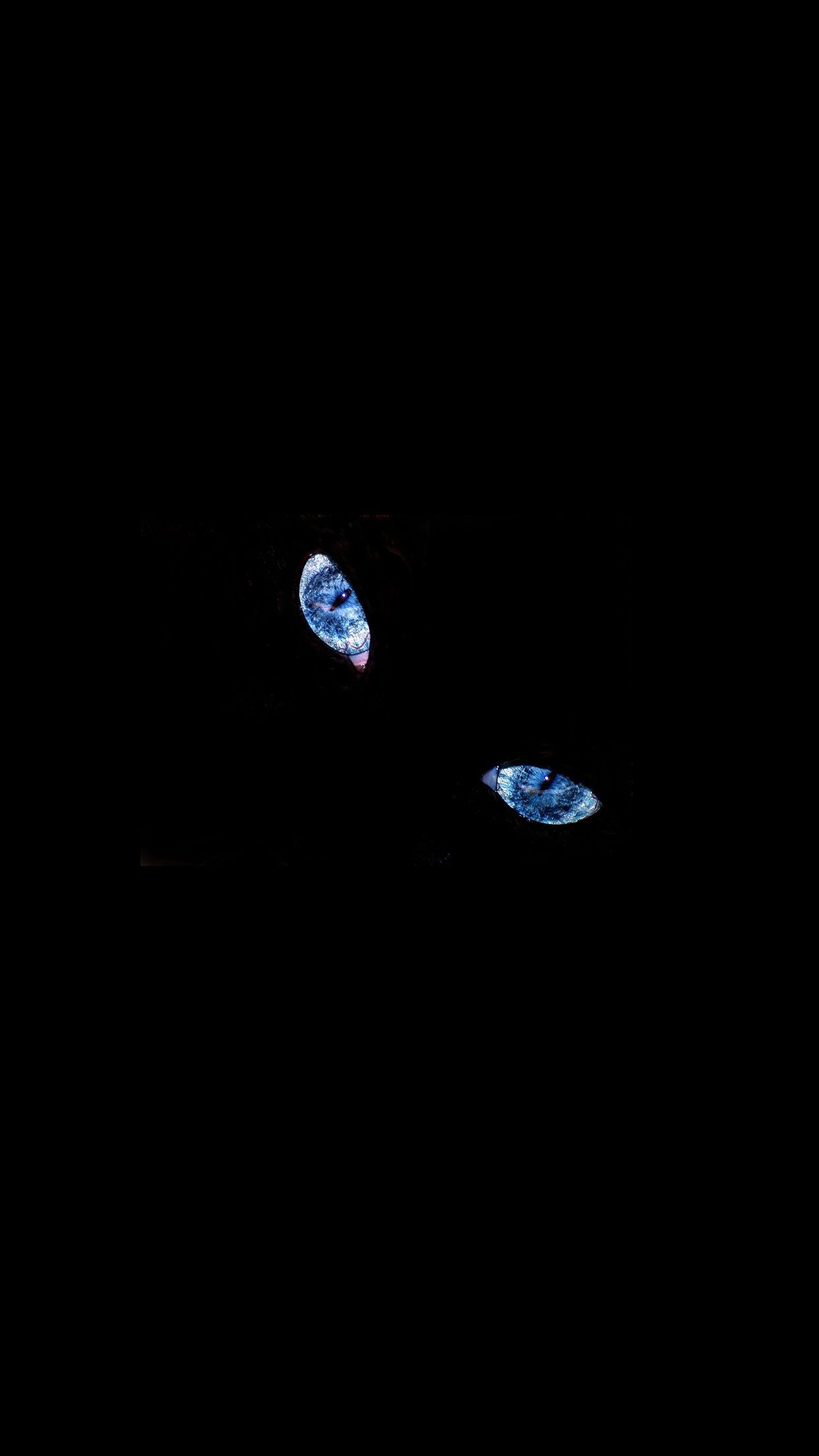Lupo scuro nella foresta, 1920x1080 1080p, Desktop