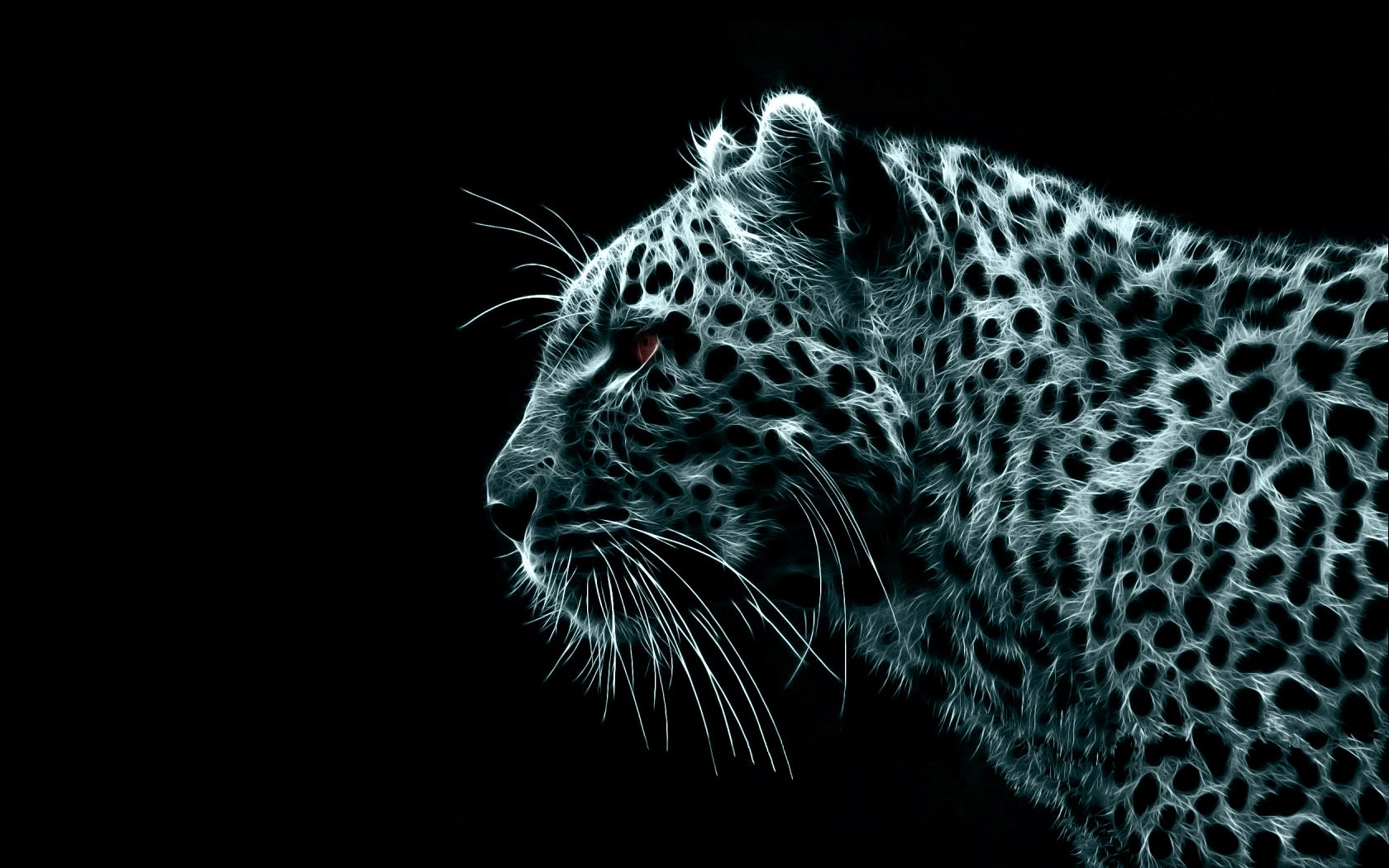 Leopardo su sfondo nero, 1680x1050 HD Ready, Desktop