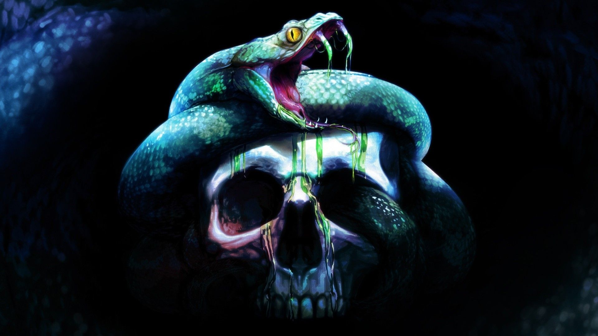 Teschio con serpente avvolto, 1920x1080 Full HD, PC Desktop