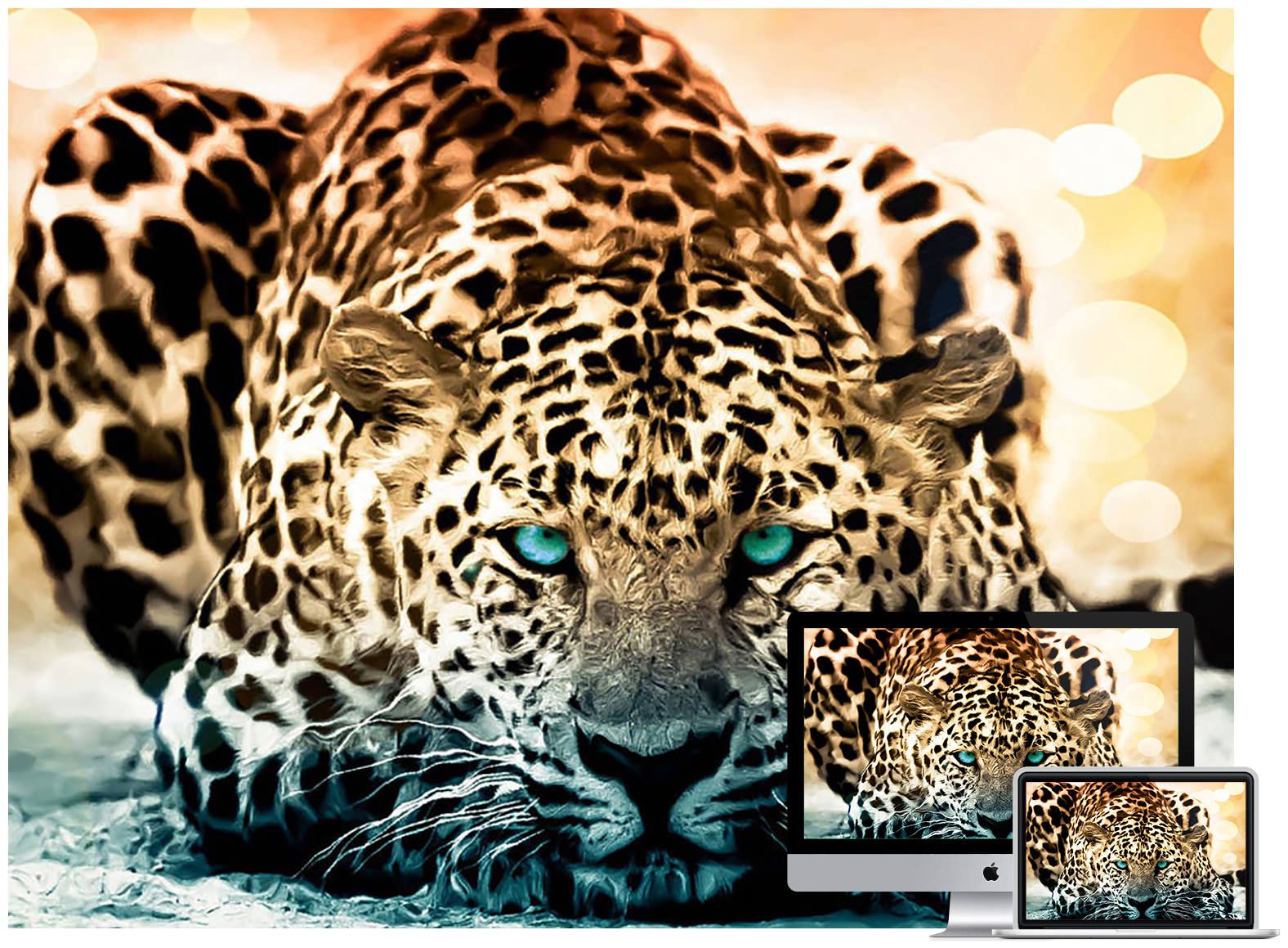 Leopardo occhi azzurri, 1576x1159 HD, Desktop