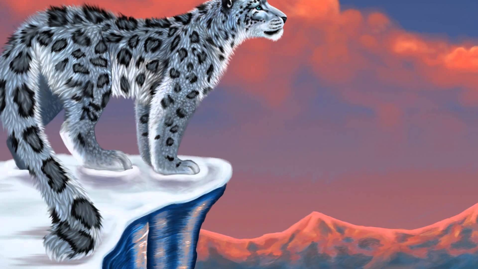 leopardo delle nevi su roccia, 1920x1080 1080p, PC Desktop