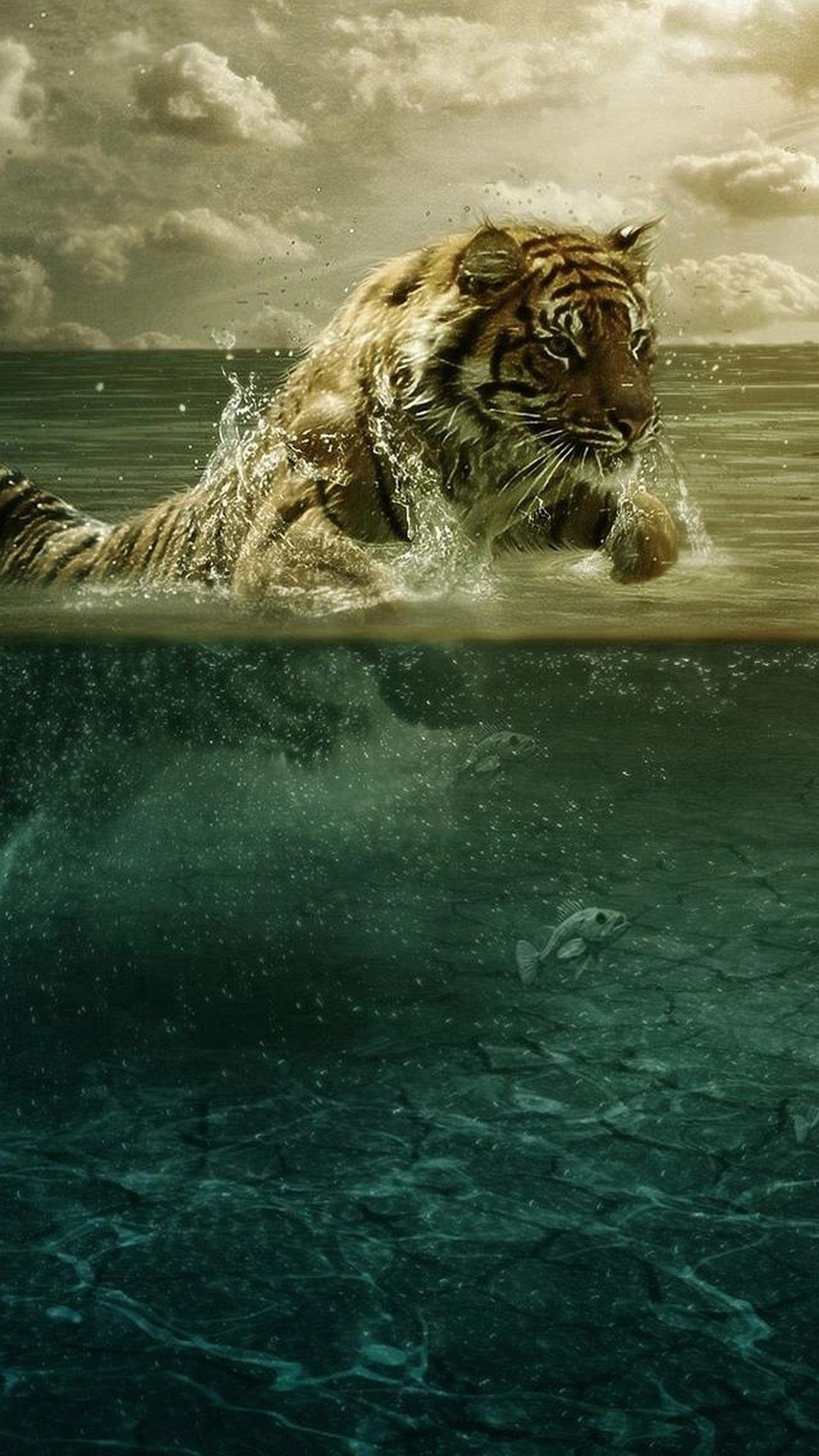 Tigre che nuota nell'oceano, 1080x1920 Full HD Verticale, iPhone