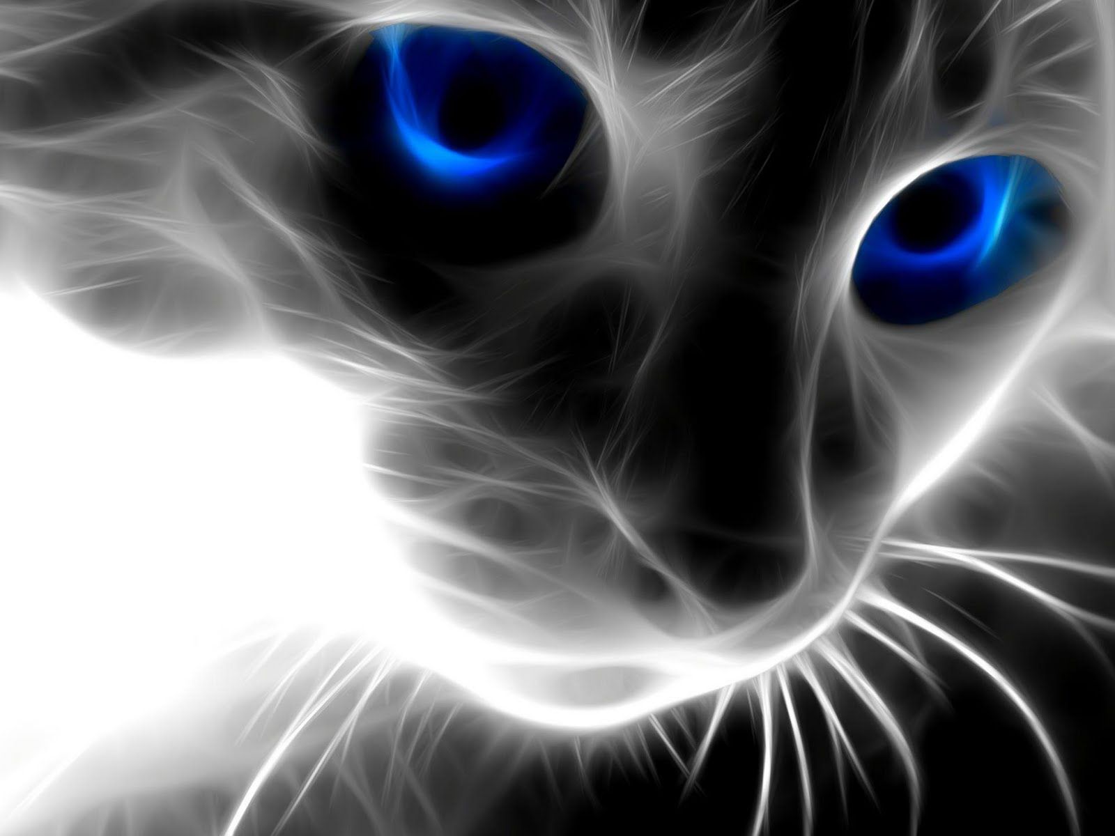 Gatto occhi blu effetto fractal, 1600x1200 HD Ready, Desktop