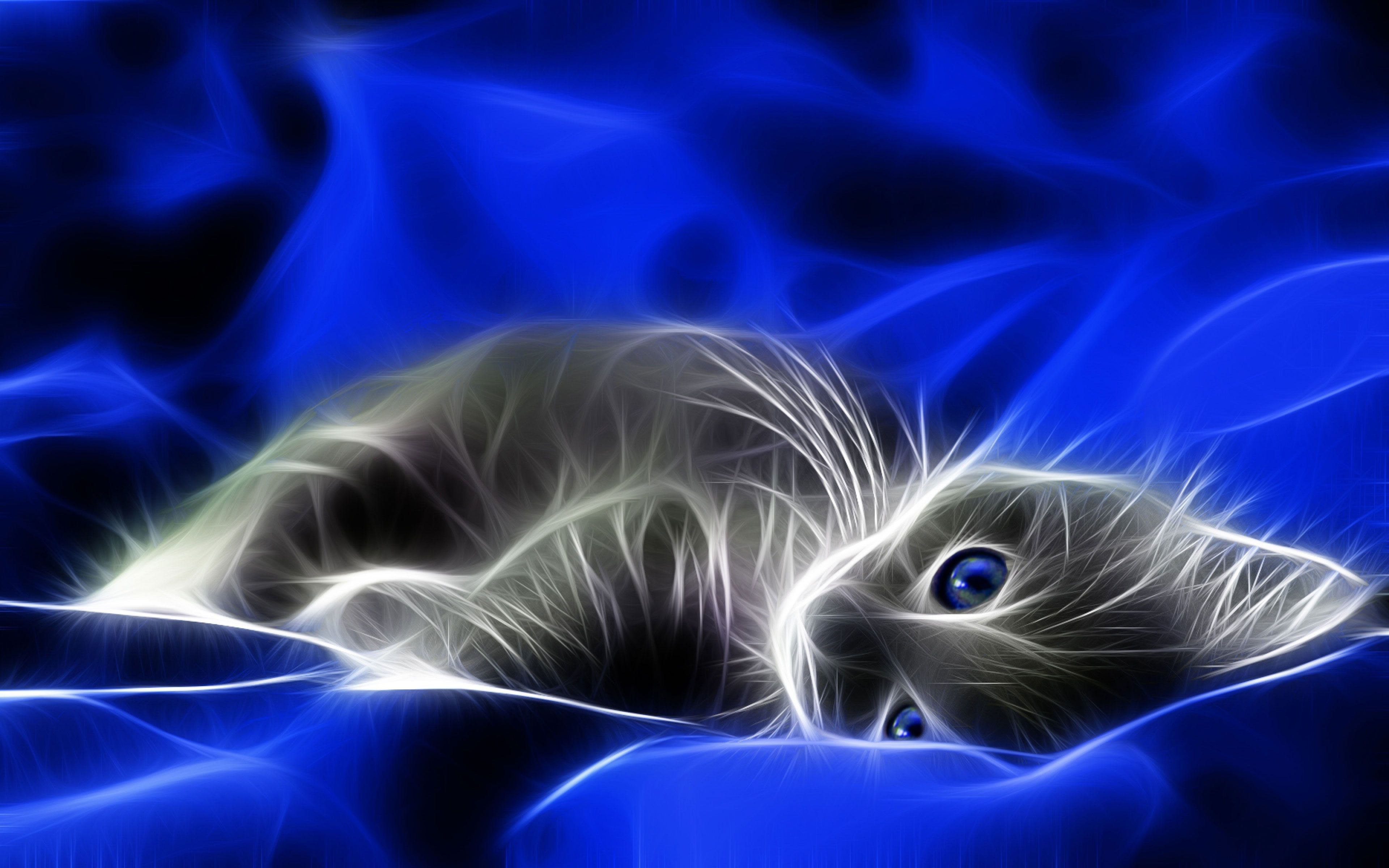 Cuore di fumo colorato luminoso, sfondi Animati, 2560x1600 2K+, PC