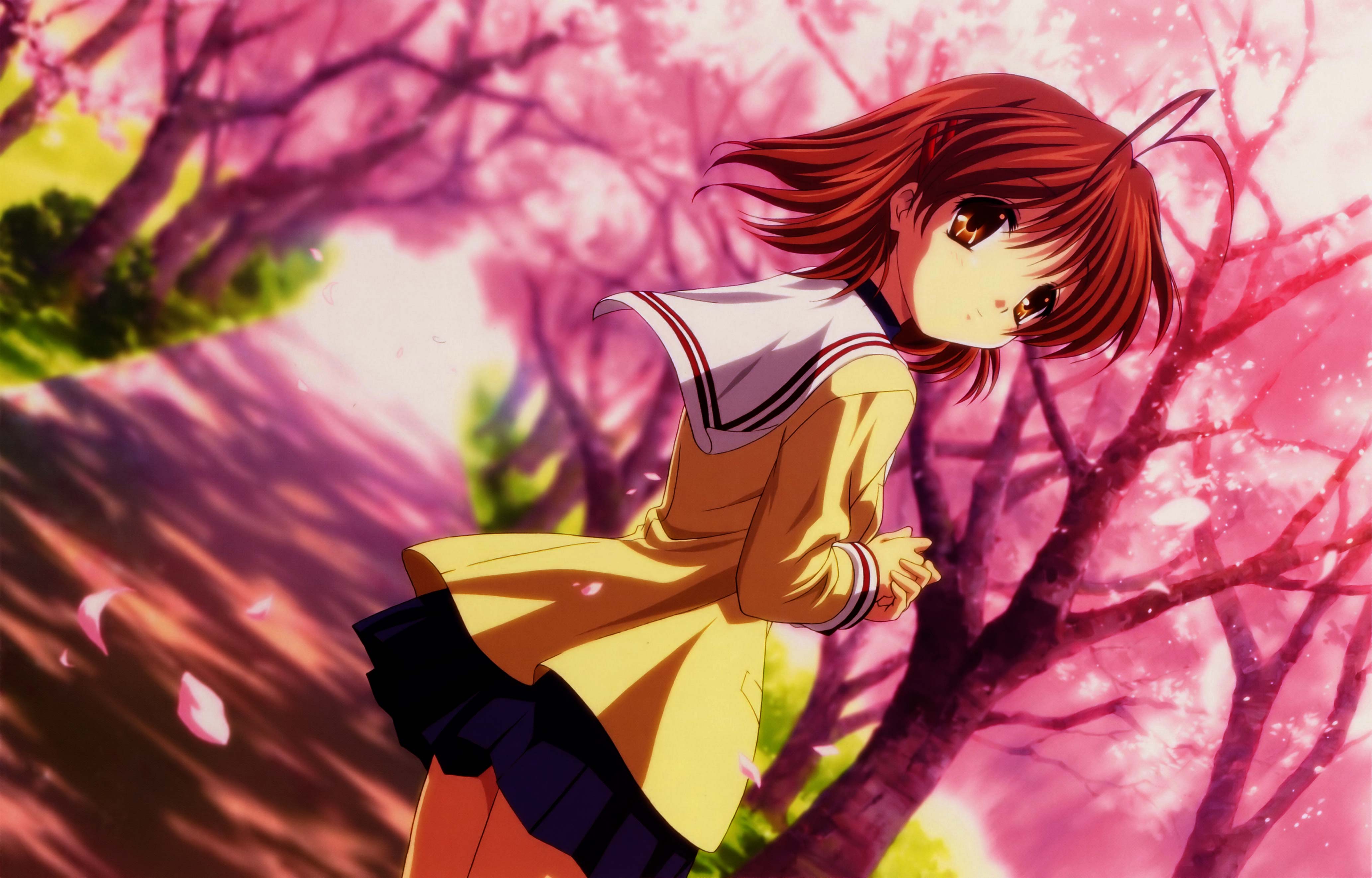 Ragazza anime uniforme scuola sakura, 4130x2643 4K Ultra HD, Monitor 4K