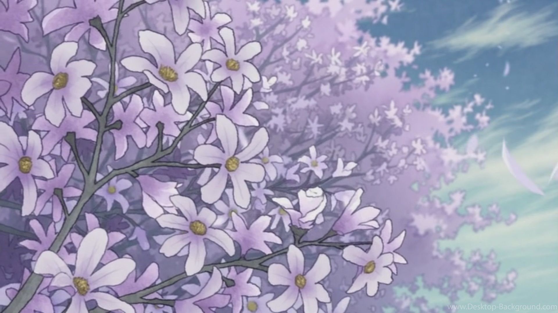 Fiori di magnolia anime cielo, 1920x1080 Full HD, Monitor Gaming