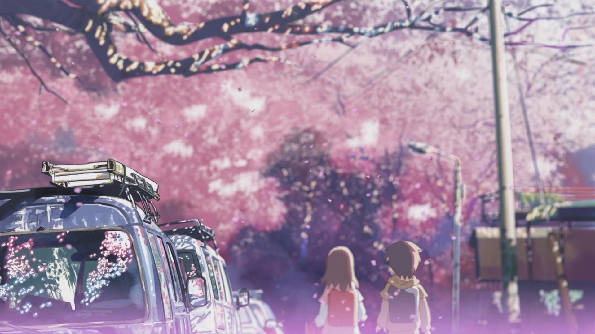 Anime alberi di sakura rosa, 1920x1080 Full HD, PC