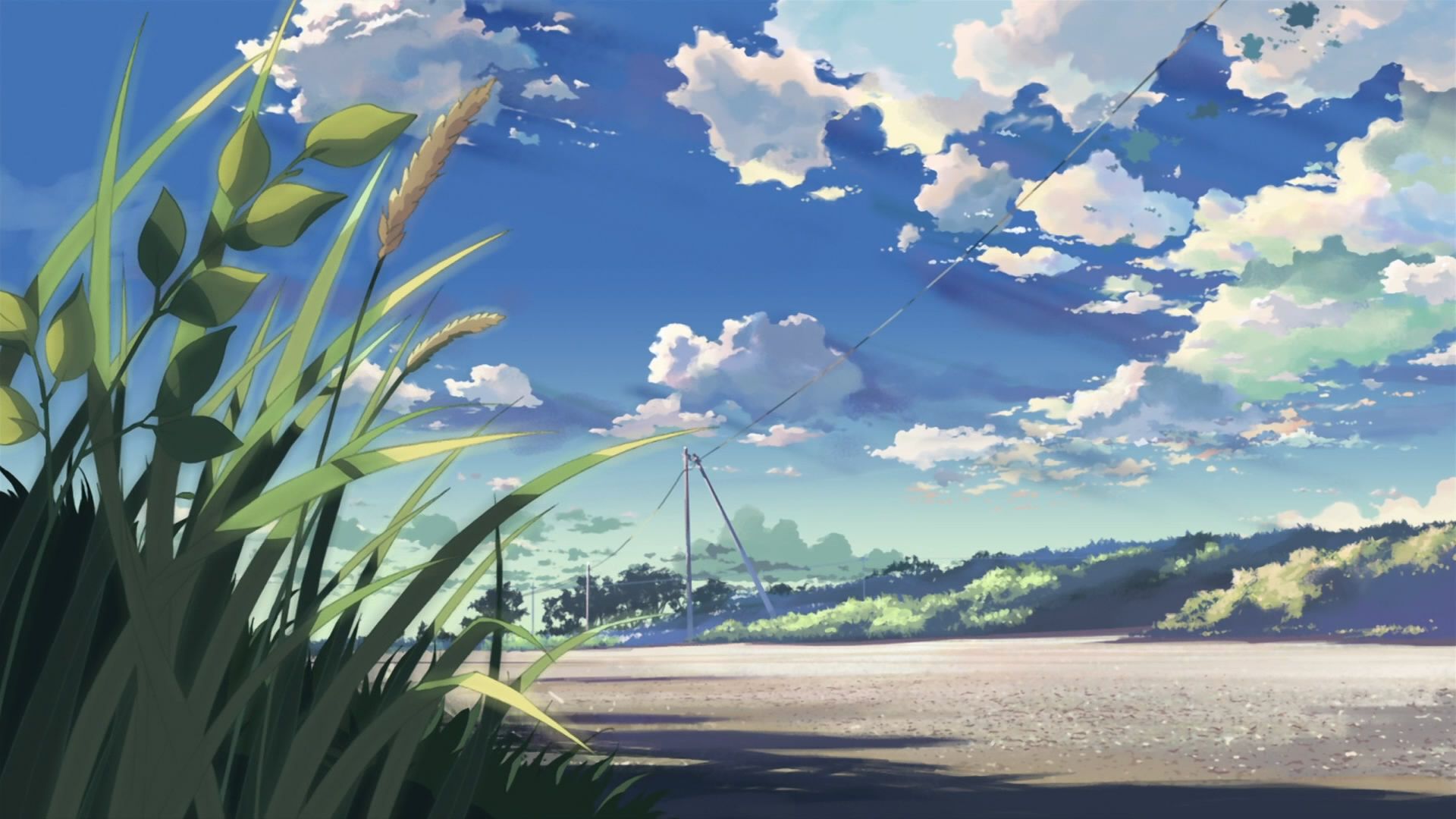 Cielo nuvoloso e erba anime, 1920x1080 Full HD, PC Desktop