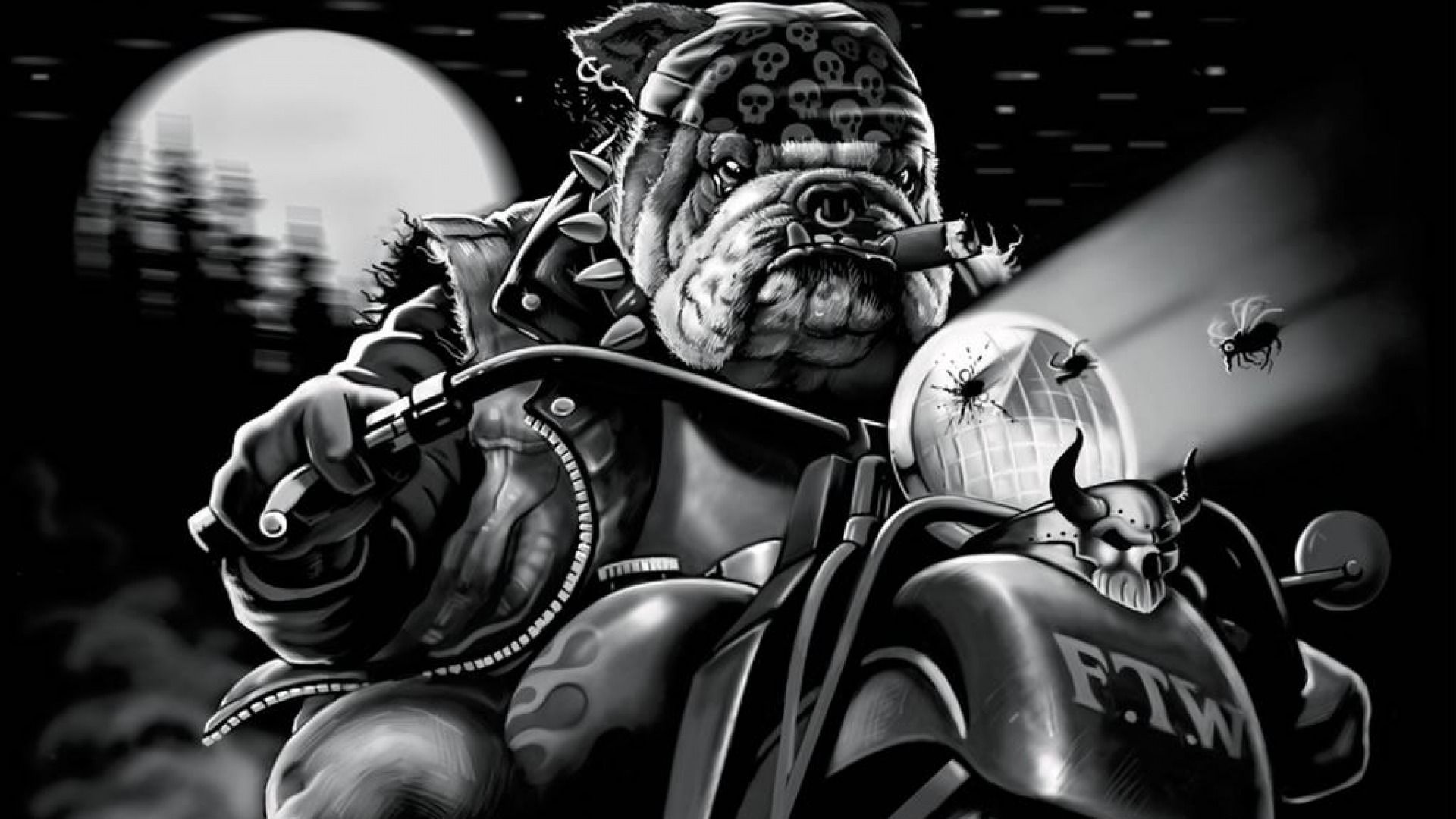 Bulldog motociclista bianco e nero, 1920x1080 Full HD, Desktop