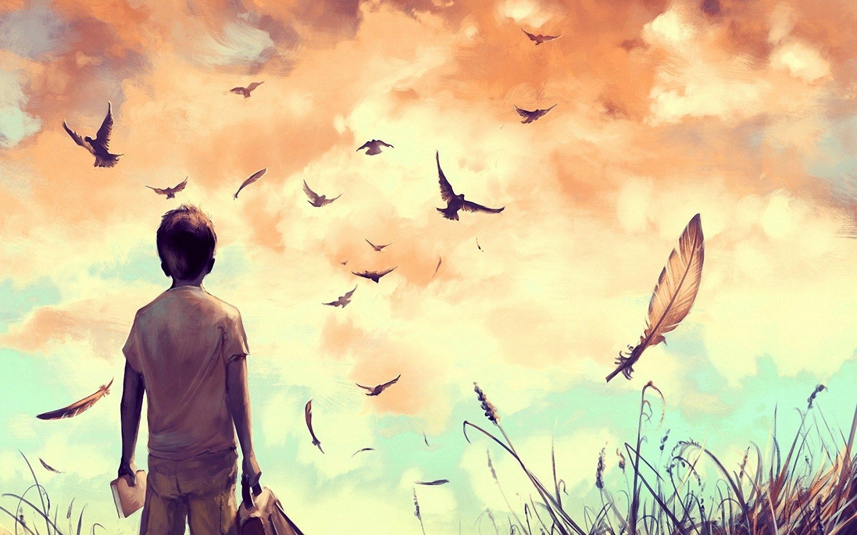 Ragazzo solitario con uccelli piume, 1680x1050 900p, Desktop