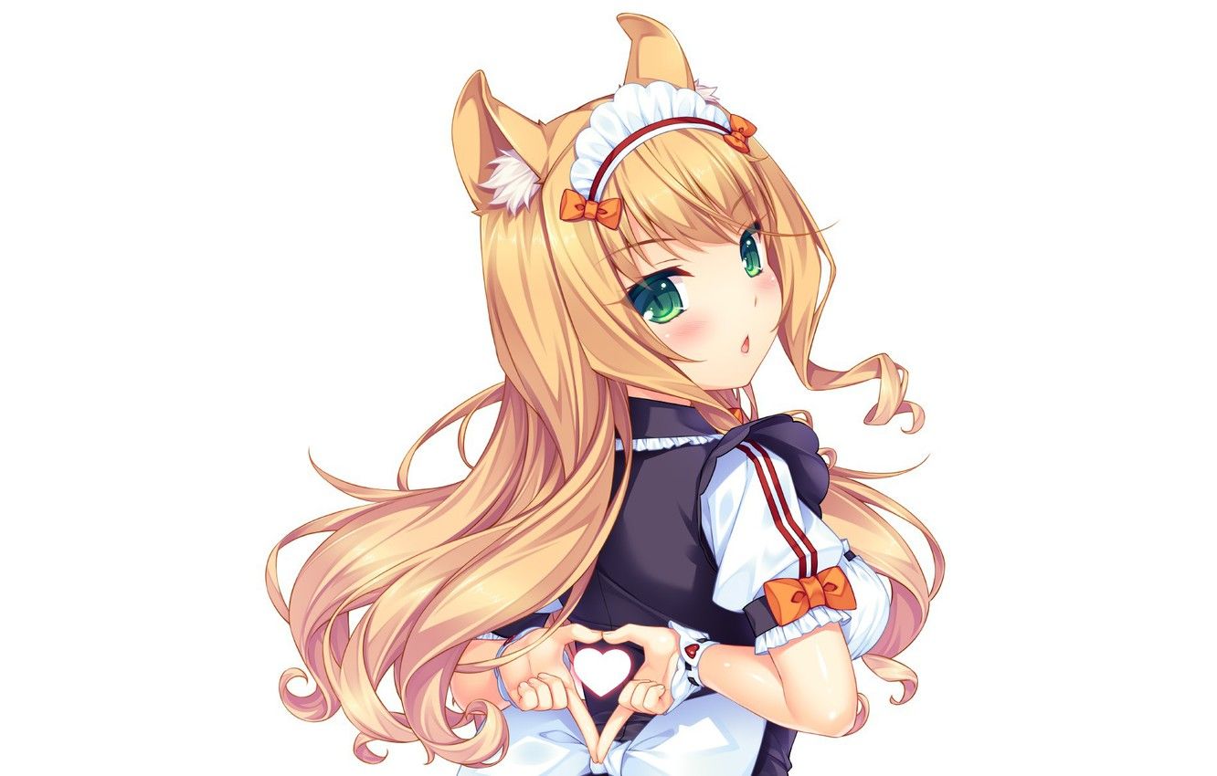 Ragazza anime petali ciliegio, 1920x1080 Full HD, Laptop