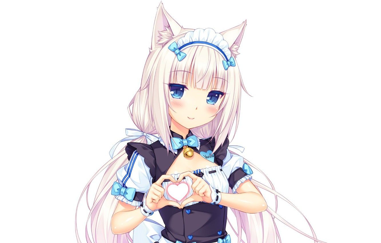 Ragazza anime maid neko, 1332x850 HD, Desktop