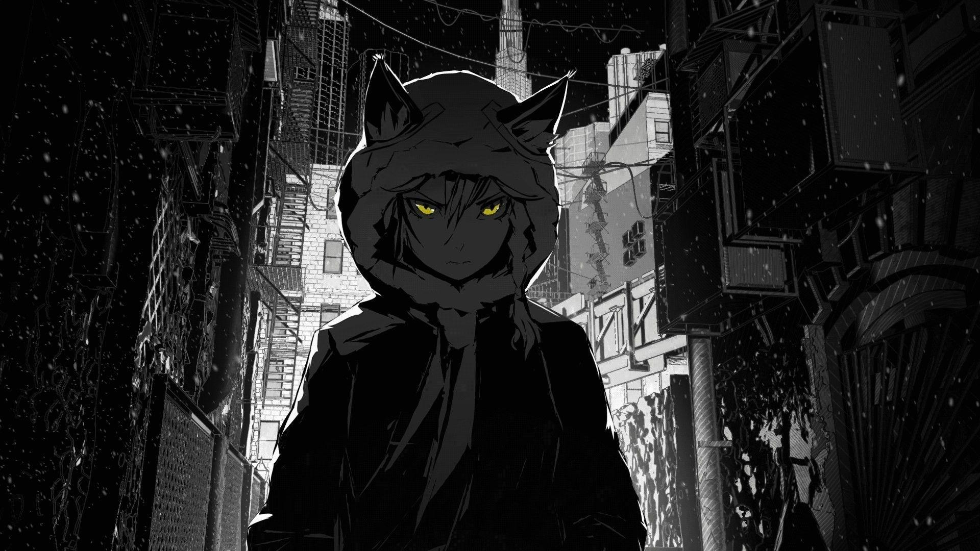 Personaggio anime con cappuccio orecchie, 1920x1080 Full HD 1080p, Desktop