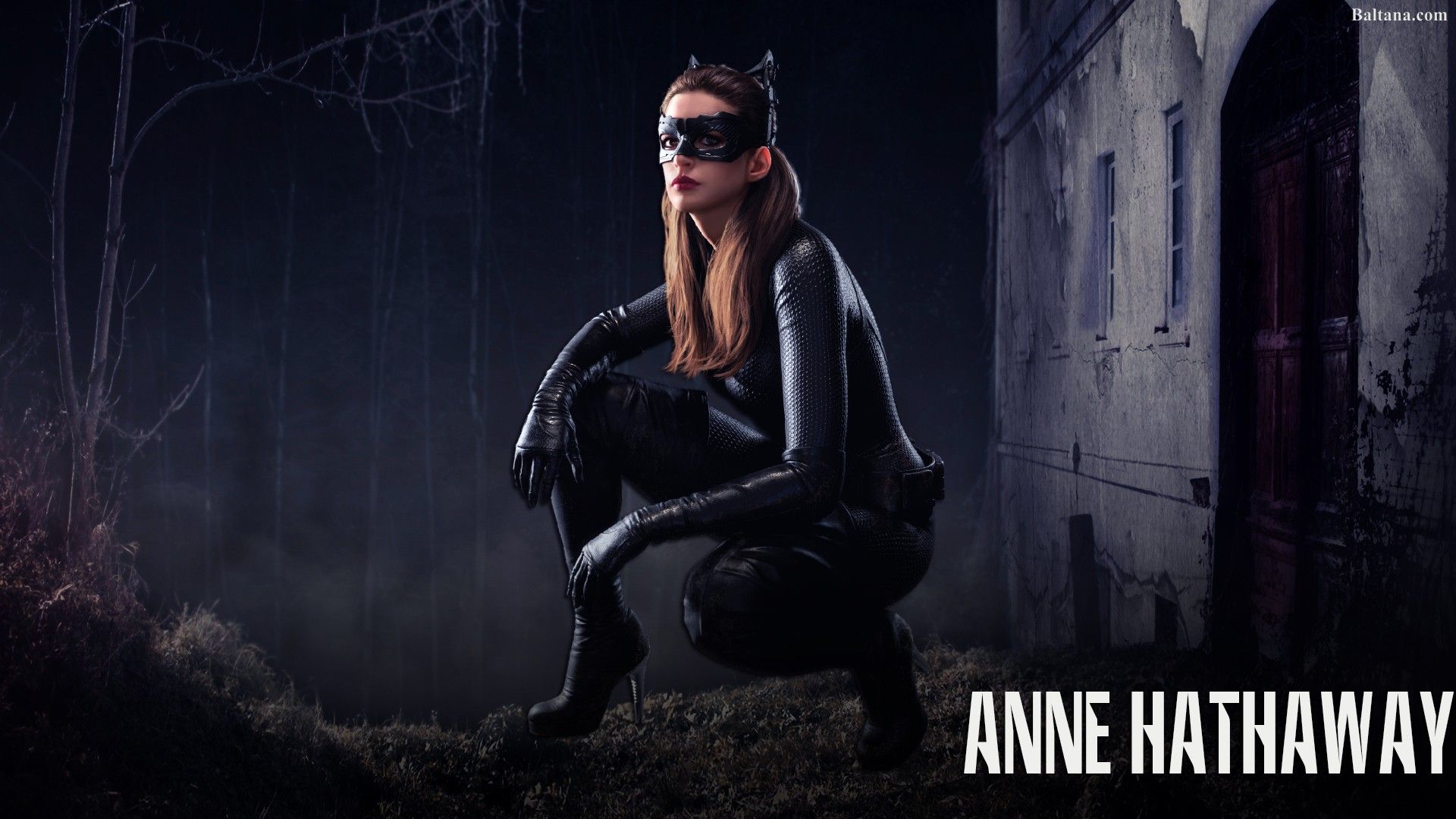 Catwoman Anne Hathaway pittura, 1332x850 HD, Desktop
