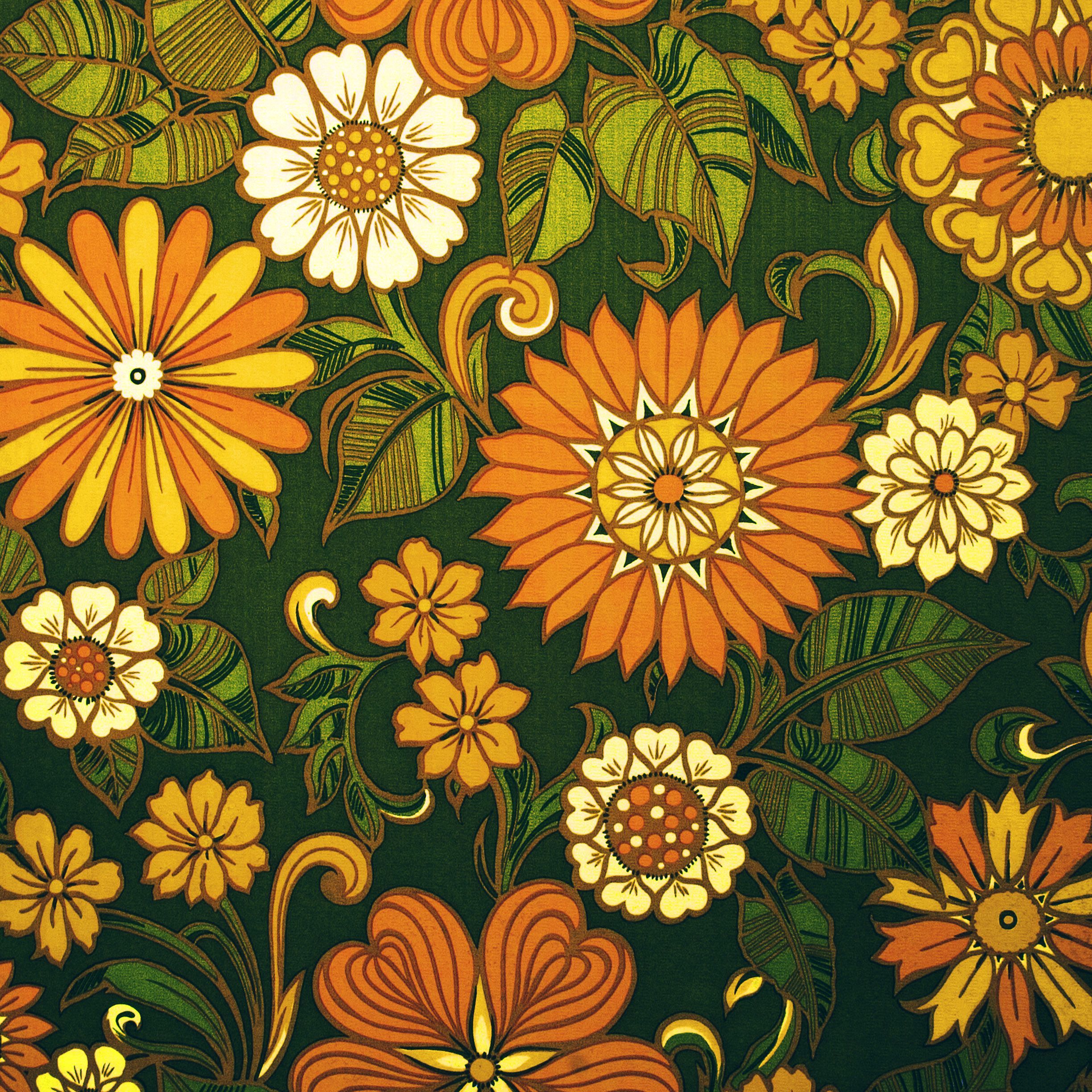 Fiori psichedelici anni '60 arancioni, 2448x2448 Hi-Res, PC