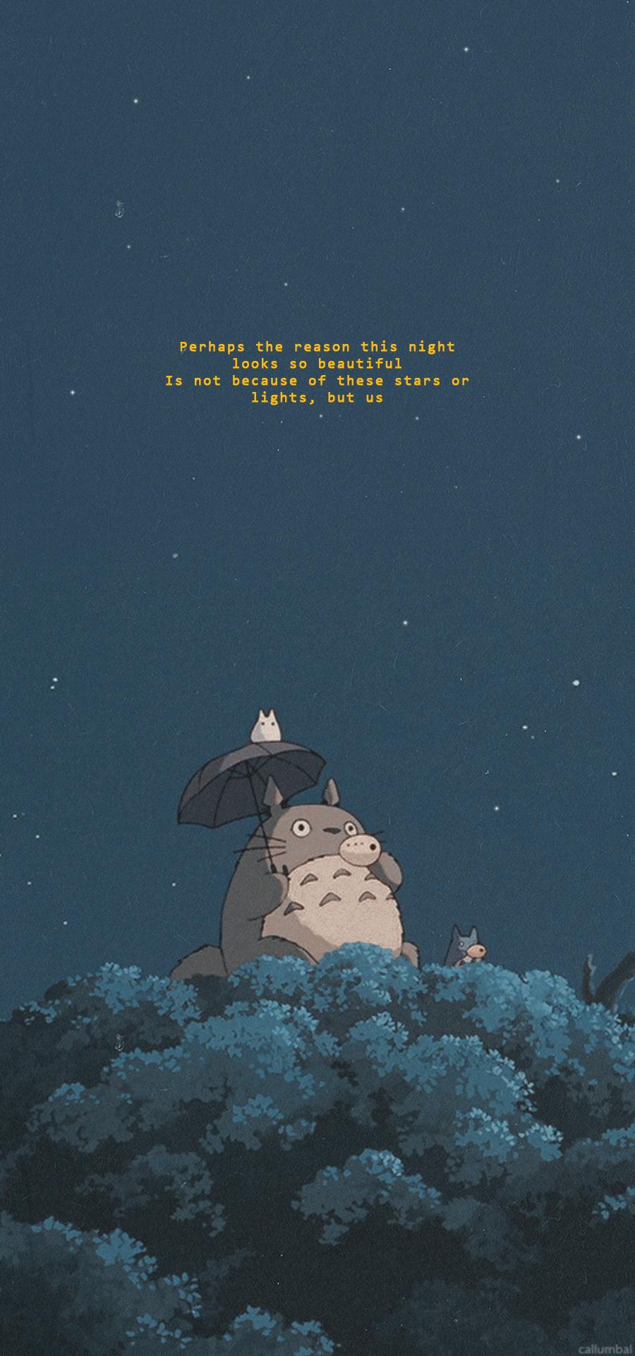 Totoro sotto ombrello notte, 900x1920 Full HD Verticale, iPhone