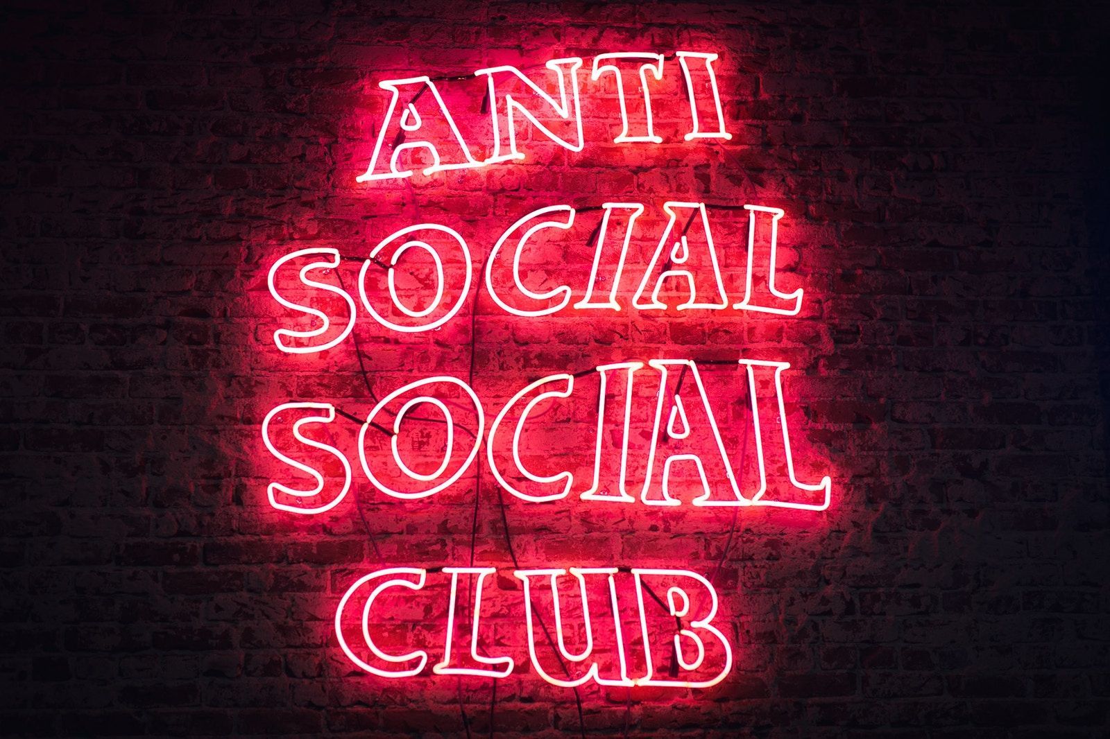 Insegna neon Anti Social Club, 1600x1066 HD Ready, PC