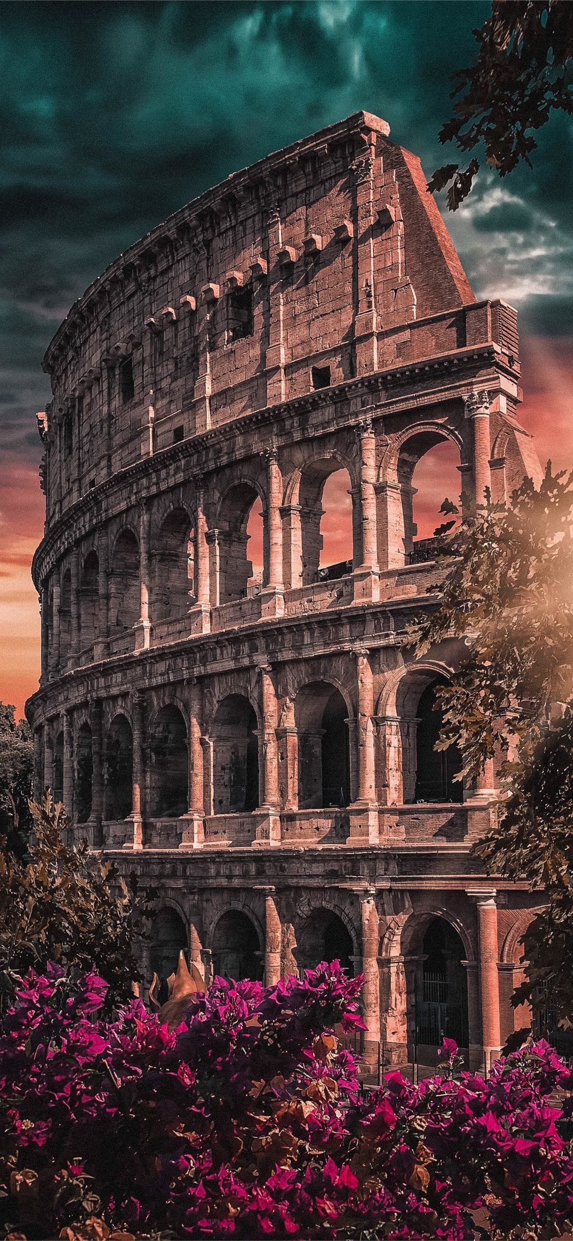 Colosseo con fiori fucsia, 1125x2436 Verticale, Mobile