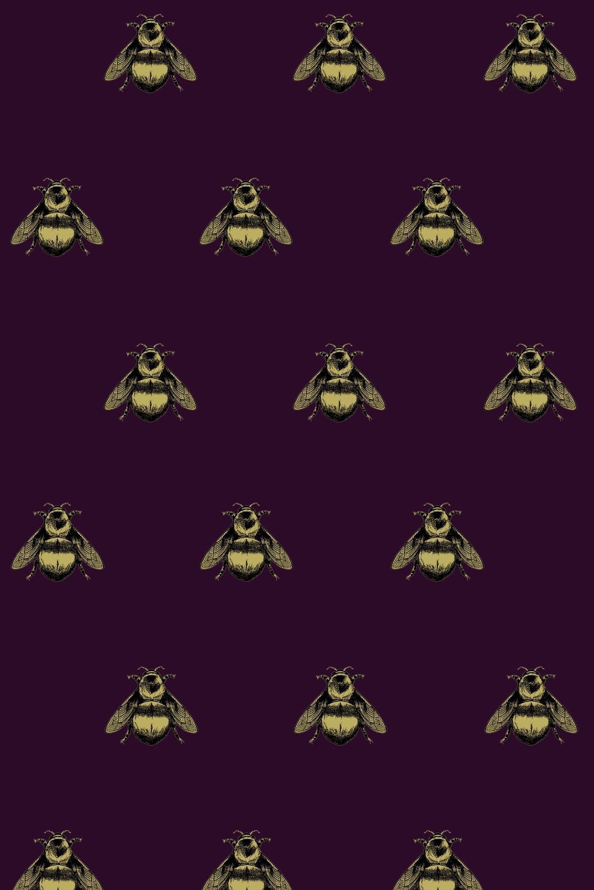 con l'Ape Gucci, 1080x1920 Verticale, Samsung Galaxy