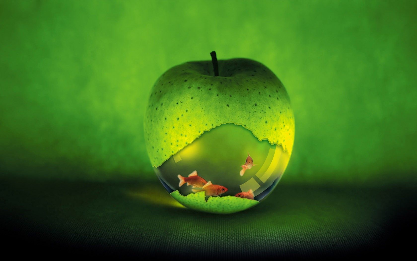 Anello dorato logo Apple, 3840x3840 4K, Desktop 4K