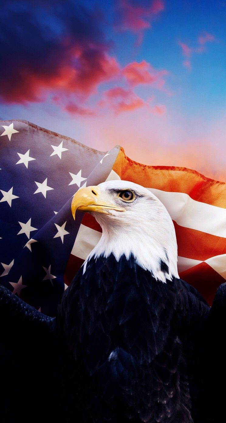 Aquila calva e bandiera americana, 744x1392 Full HD Verticale, Smartphone