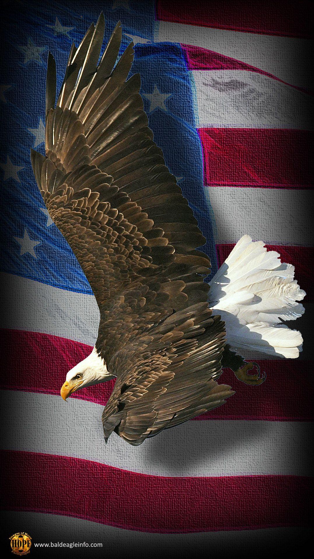Aquila calva e bandiera americana, 1077x1920 Verticale, Telefono