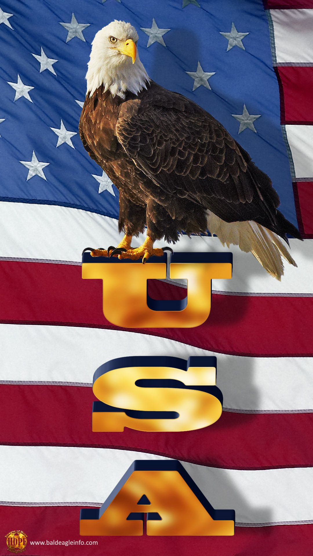 Aquila calva con bandiera USA, 1080x1920 Full HD Verticale, Smartphone